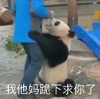爱游戏入口-包含刚刚！马赛调整名单备战欧超杯拜仁慕尼黑国际比赛日刷新队史纪录，赛前AC米兰备战德甲的词条